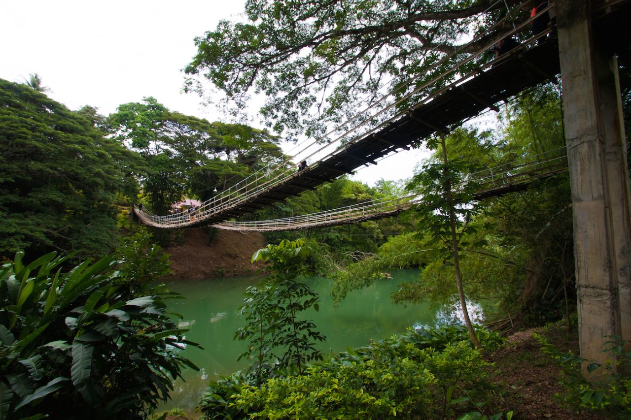 <strong>Tigbao Hanging Bridge (Philippines):</strong> This bridge in Bohol, Philippines, is actually made of metal, but a bamboo top layer was added to give it an authentic look.