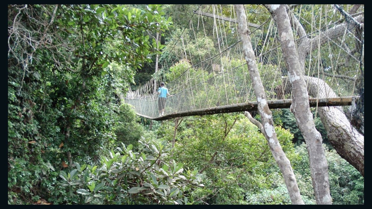 Scared to cross the footbridge at Tama Negara National Park? The ropes are checked every morning.