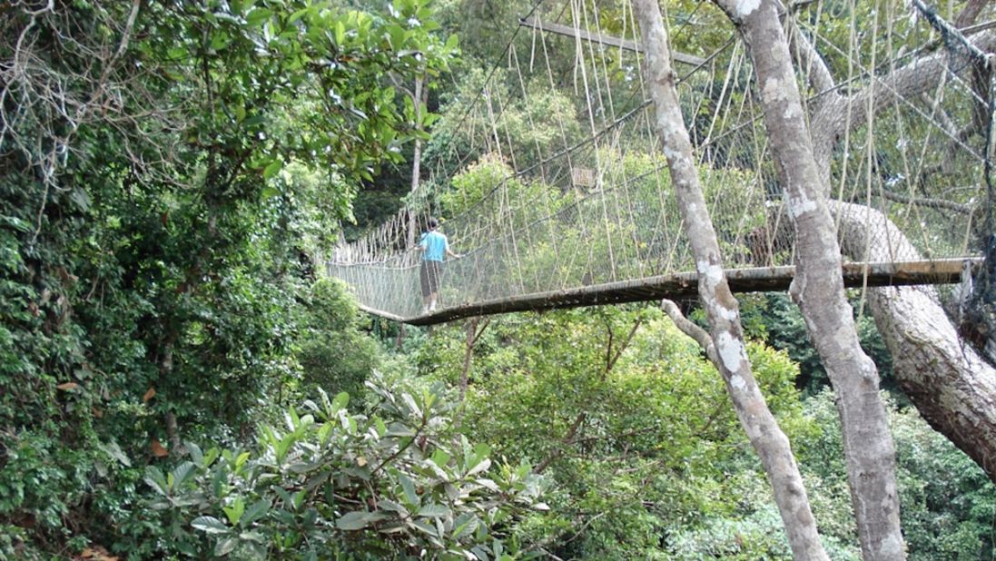 <strong>Taman Negara Bridge (Malaysia):</strong> This suspension bridge in the Taman Negara National Park stretches 530 meters across the tops of the trees. 