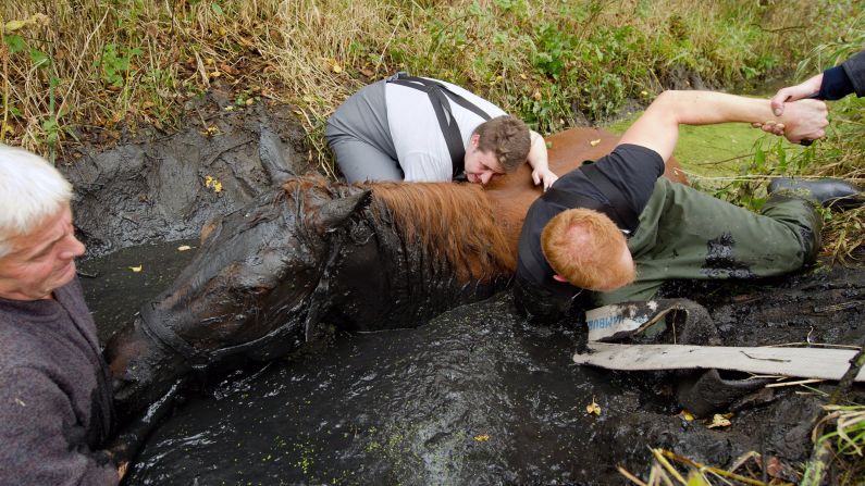 Coachman Norbert Fenske, left, and firefighters prepare to rescue a horse from a ditch in Hamburg, Germany, on Saturday, October 18. The horse slipped into the ditch and had to be pulled out by a tractor.