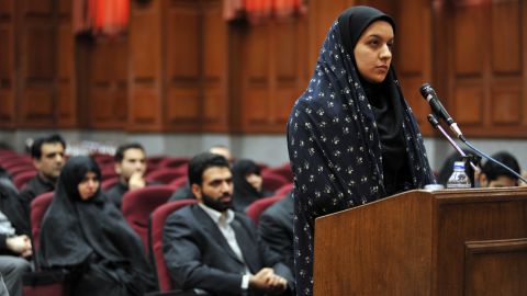 The United Nations and the United States had expressed concerns over the fairness of Reyhaneh Jabbari's trial.


