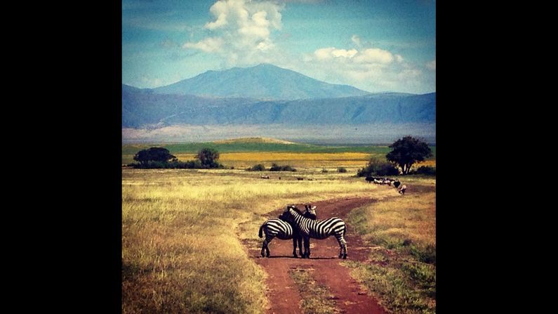 What's black, white and adorable all over? These two <a href="http://instagram.com/p/oJOE9GJDhB/?modal=true" target="_blank" target="_blank">zebras hugging</a> at the <a href="http://www.ngorongorocrater.org/index.html" target="_blank" target="_blank">Ngorongoro Conservation Area</a> in Tanzania. Around 450,000 tourists visit here each year, which accounts for 60% of the tourists that visit Tanzania yearly. 