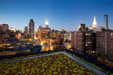 New York architects COOKFOX installed a green roof at their offices in Manhattan. They say it breaks up the urban backdrop of tall buildings and densely packed vehicles. It is also visible from the workplace drawing the outside environment into the sightline of workers, helping to mark the changing seasons and the time of day.