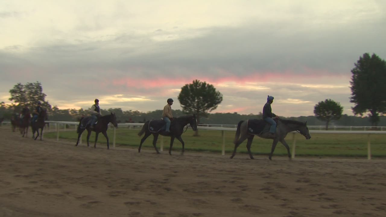 cnnee ag french stables oct_00002221.jpg