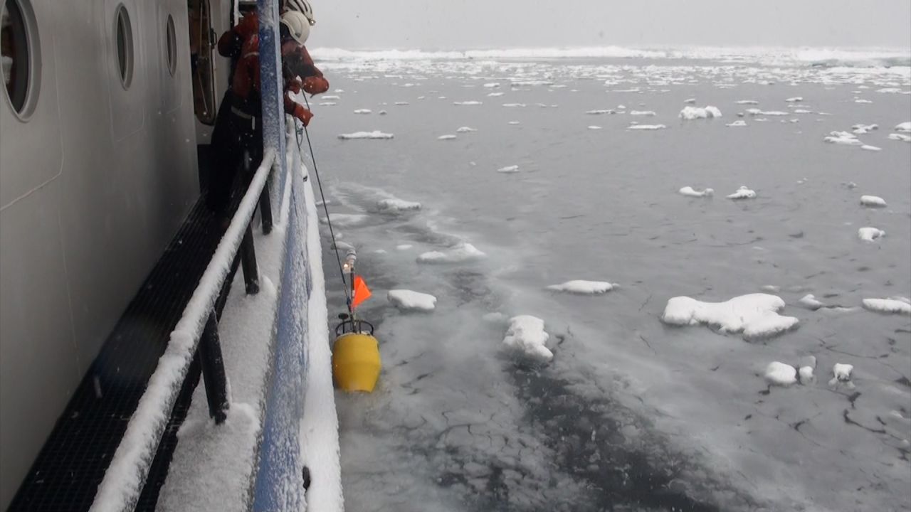 arctic sea ice 2 cfb