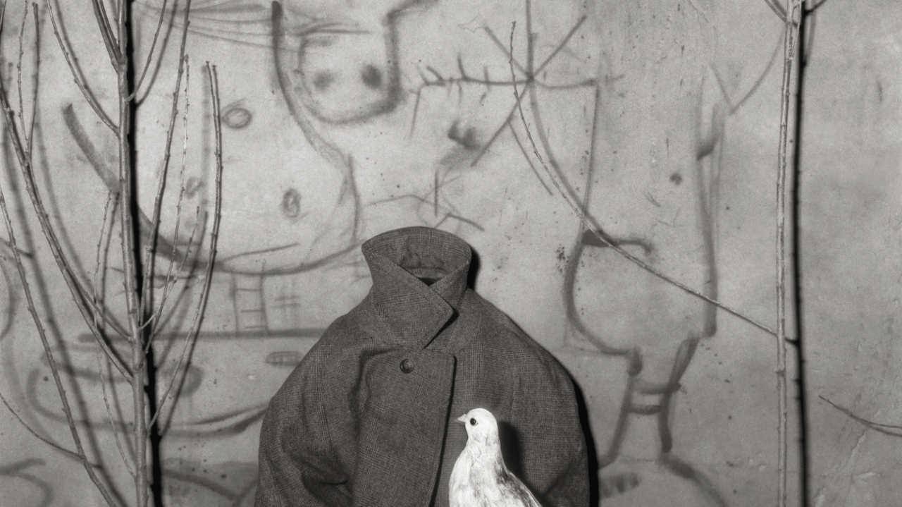 Roger Ballen Asylum of the Birds for profile orig MS 4