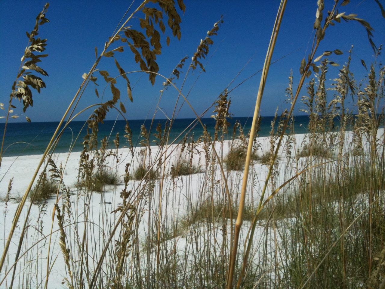 Imagine a picture-perfect Gulf beach with sugar-white sand and sparkling waters. That would be St. Joseph Peninsula State Park. It's about 30 miles west of Apalachicola. 