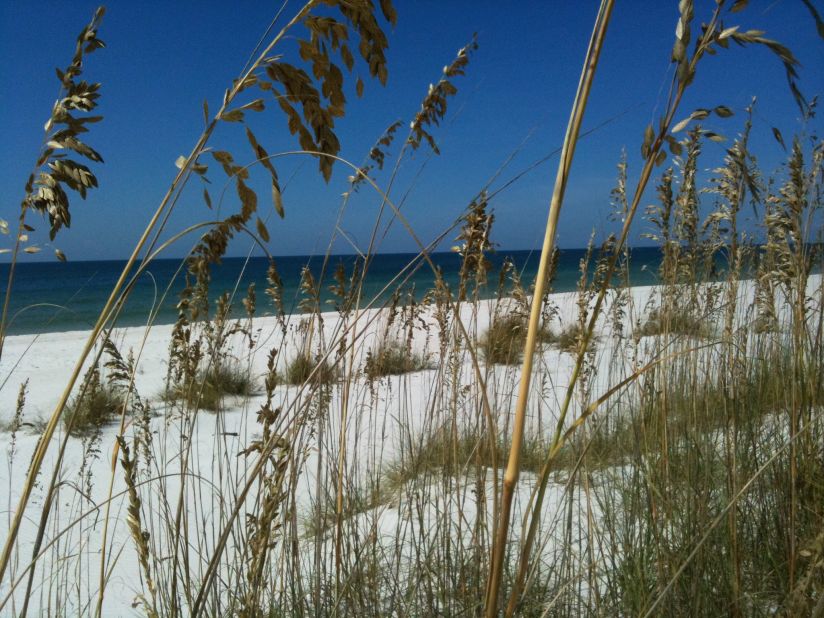 Imagine a picture-perfect Gulf beach with sugar-white sand and sparkling waters. That would be St. Joseph Peninsula State Park. It's about 30 miles west of Apalachicola. 