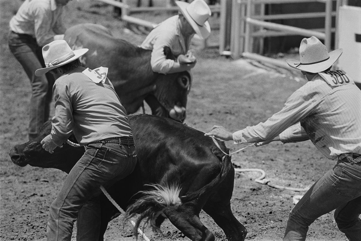 This image shows "steer decorating," an event that was open to anyone at the rodeo. "You have to tie a ribbon on the steer's tail while your partner holds on the head of the steer," Little wrote. "It's not at easy as it looks."