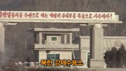 north korea defector
