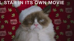 grumpy cat christmas movie orig mg_00001413.jpg