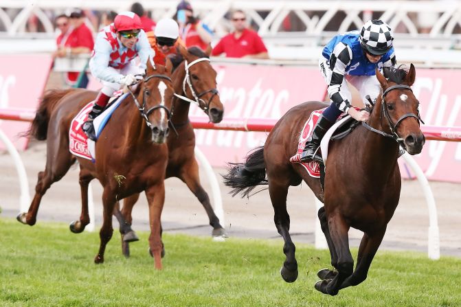 In the blue shirt and checkered cap, English jockey Ryan Moore pushes Protectionist ahead of the pack in Australia's Melbourne Cup, which is known as "the race that stops the nation."