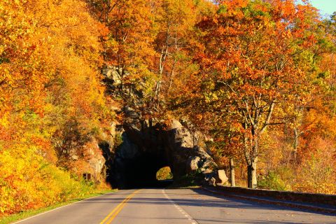 Fall leaves frame a tunnel at <a href="http://ireport.cnn.com/docs/DOC-1182827">Skyline Drive </a>in Shenandoah National Park. This <a href="http://www.visitskylinedrive.org/Home.aspx" target="_blank" target="_blank">105-mile byway</a> makes its way along the Blue Ridge Mountains.