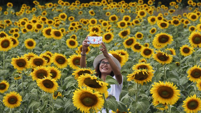  Sunflowers and Nudists [[[[$ 