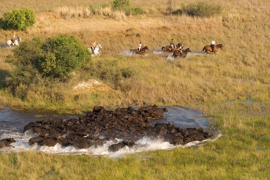 Bostwana's Okavango Horse Safaris won the award for best riding safari this year. Guests can get up close to the animals from the vantage point of their horse. 