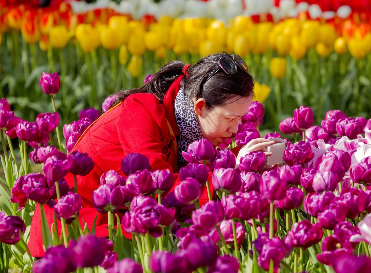 Few tulip varieties are fragrant, but other flowers at the Netherlands' famed Keukenhof garden -- the world's second largest flower garden -- compensate sweetly. 