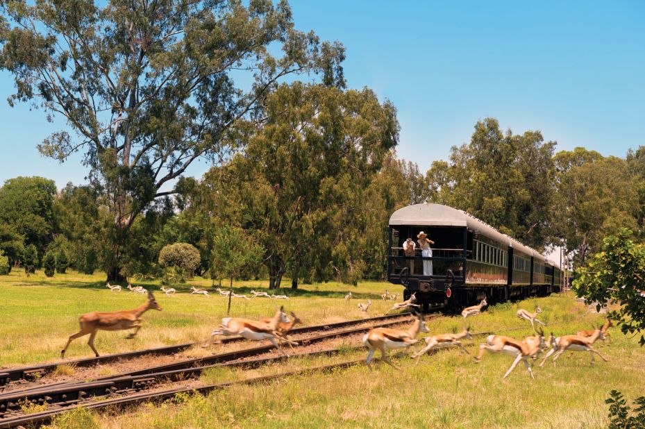 There are several rail safaris available across South Africa and beyond that allow passengers to encounter the region's spectacular scenery and some of the big beasts that roam it.