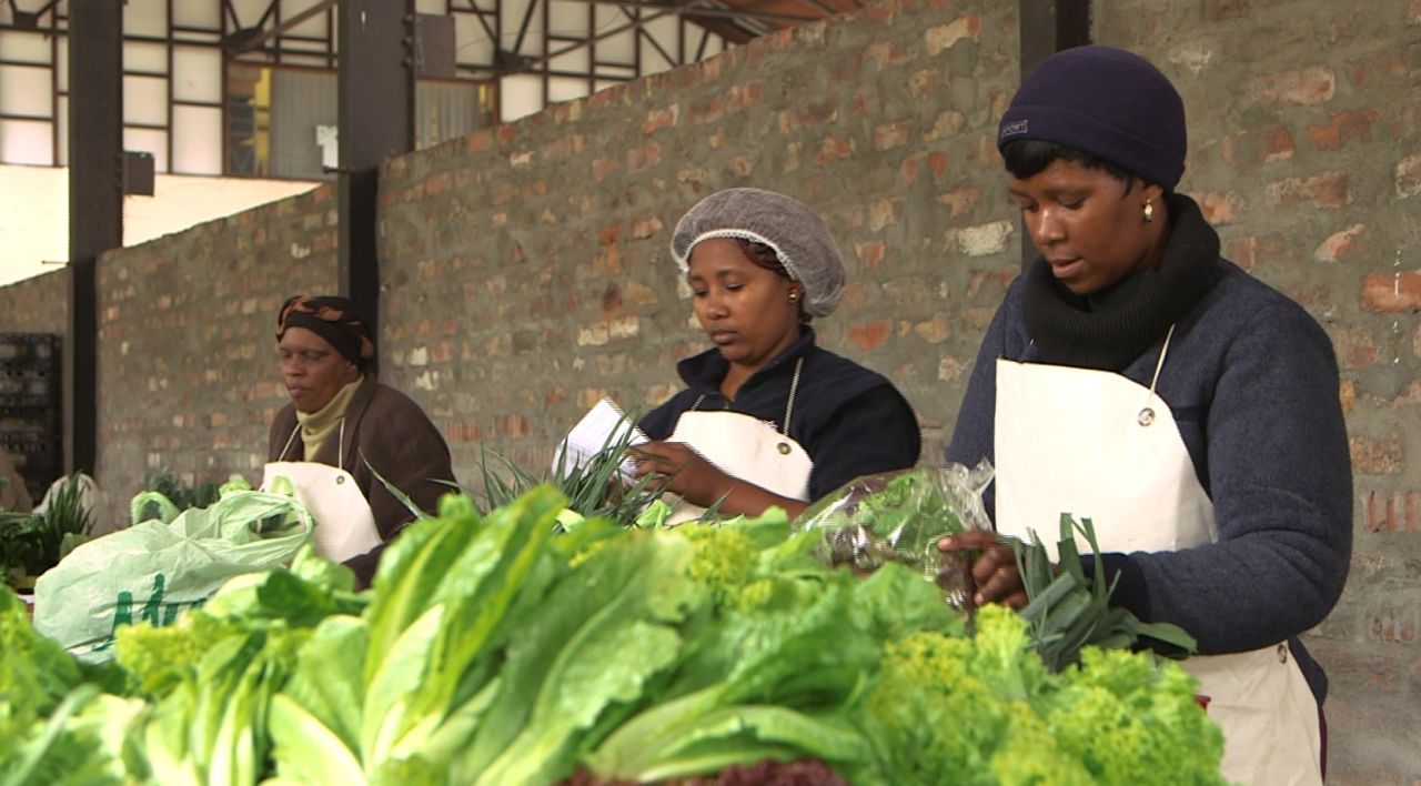Urban farms have become a growing trend in Cape Town. People set up farms in parking lots, grow them out of toilets and even old TV sets.