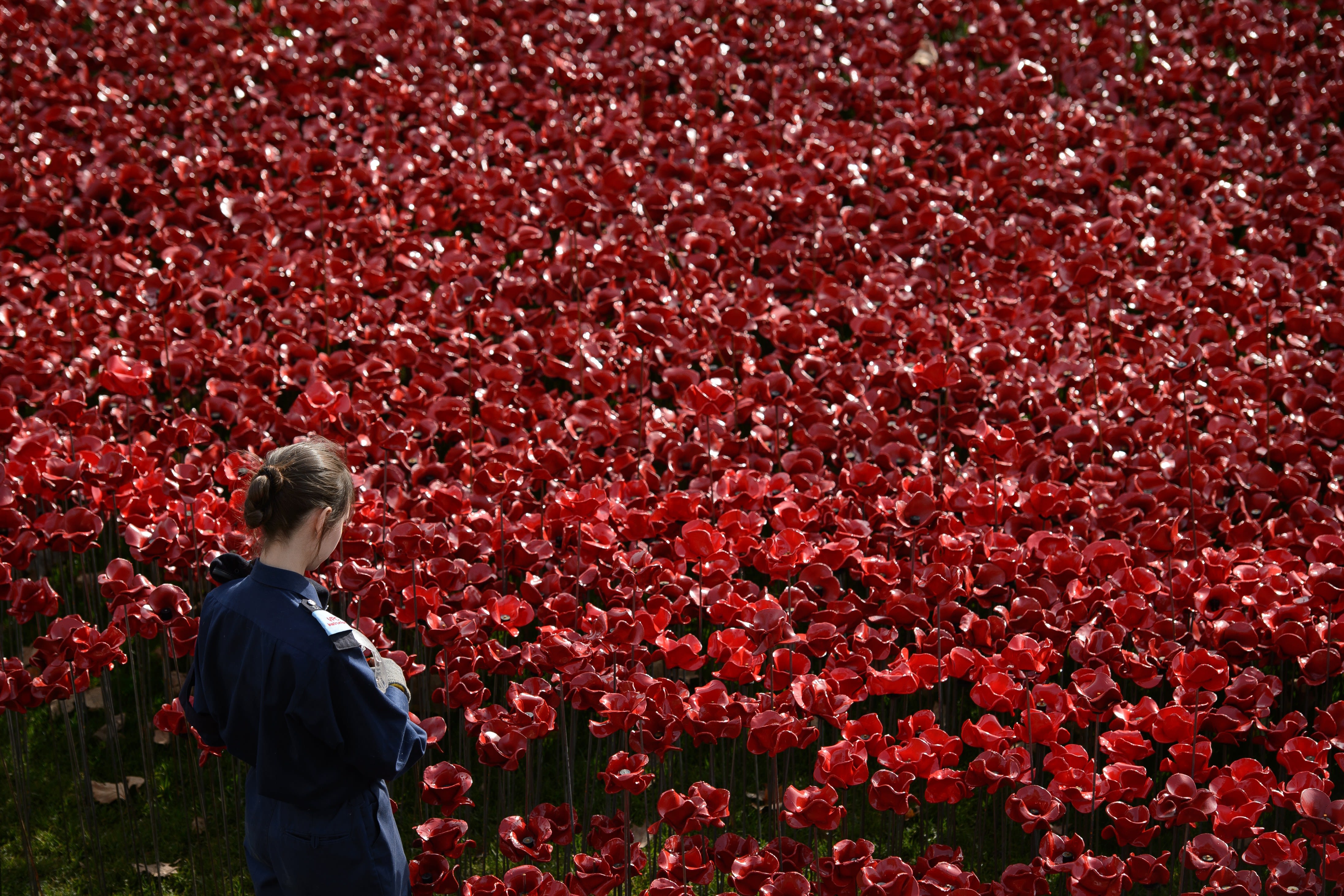100 Years of Poppies: From Flanders Fields to our lapels