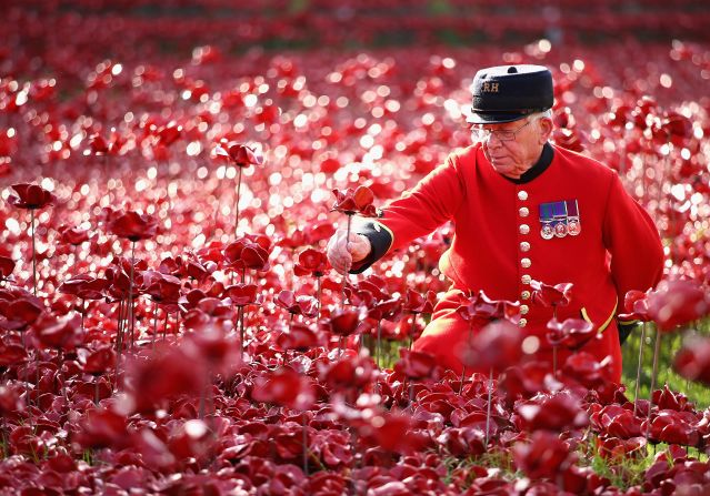 Each of the flowers has been sold -- for £25 (about $40) -- to benefit charities working with armed services personnel and veterans.