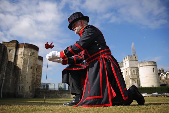 The first was "planted" in the moat of the Tower of London by Crawford Butler, the longest serving Yeoman Warder at the Tower, on July 17, 2014.