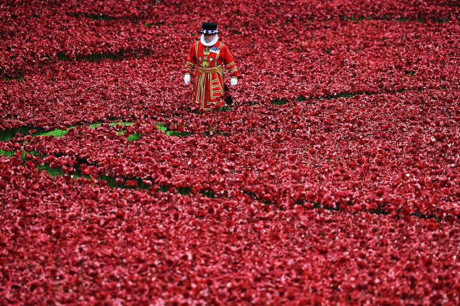 A Yeoman Warder stands amongst the ceramic poppies at the Tower of London's 'Blood Swept Lands and Seas of Red' poppy installation in central London on October 16, 2014.