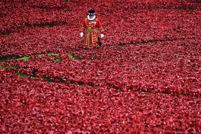 The display is due to end on November 11 -- Armistice Day -- when the final poppy is planted shortly before 11am. 