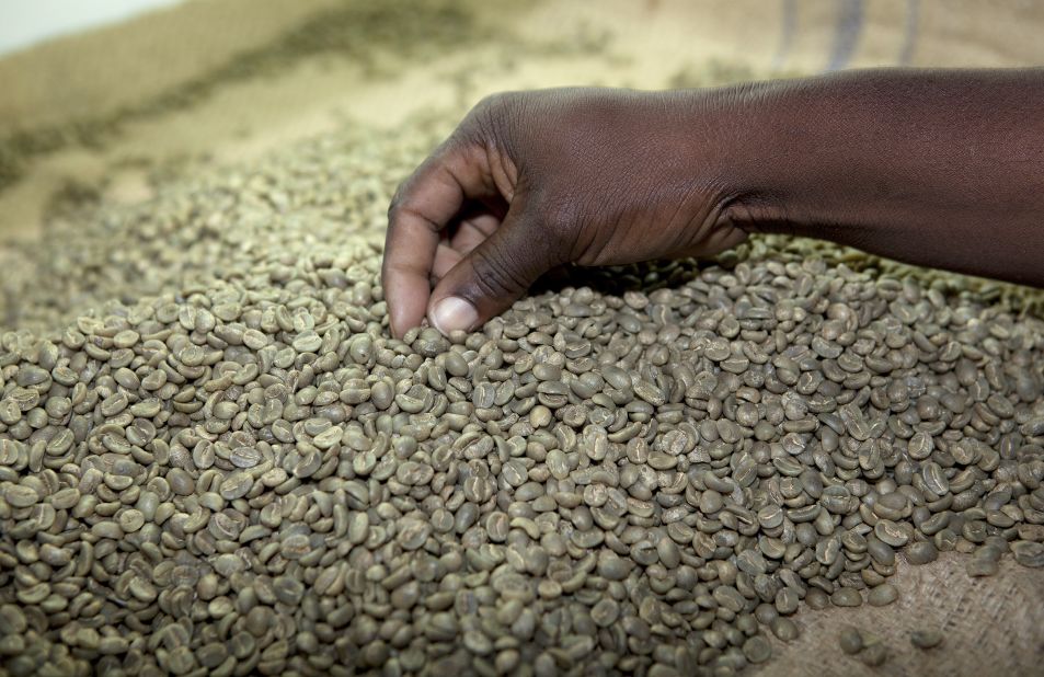 Jamaica Blue Mountain Coffee is among the most prized, and expensive, in the world, fetching upwards of U.S.$30 a pound. 