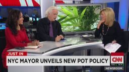 nr panel hostin skye new york city marijuana policy _00005014.jpg