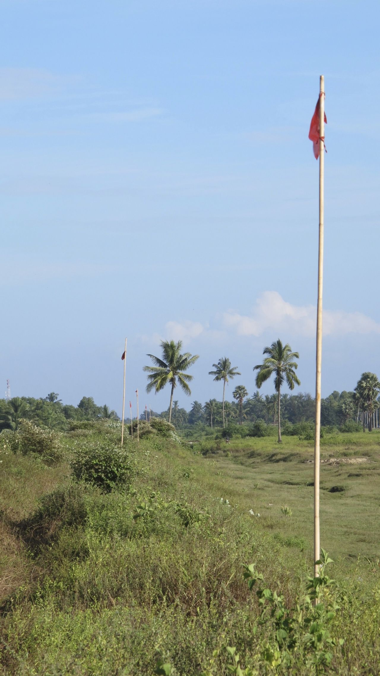 This row of red flags marks a line beyond which Rohingya are not allowed to go. Buddhist Rakhine villages are to the left. There is no barrier or barbed wire stopping people from crossing, but local Muslims fear they would be attacked and killed if they did.