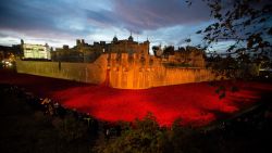 The near completed ceramic poppy art installation by artist Paul Cummins entitled 'Blood Swept Lands and Seas of Red' is seen lit up before sunrise in the dry moat of the Tower of London in London, Tuesday, Nov. 11, 2014. The finished installation will be made up of 888,246 ceramic poppies, with the final poppy being placed on Armistice Day today. Each poppy represents a British and Commonwealth military fatality from World War I. 