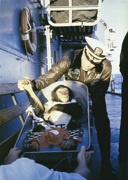 NASA's celebrity animal astronaut, Ham the Chimpanzee is greeted after landing at sea, after a flight into space in 1961.