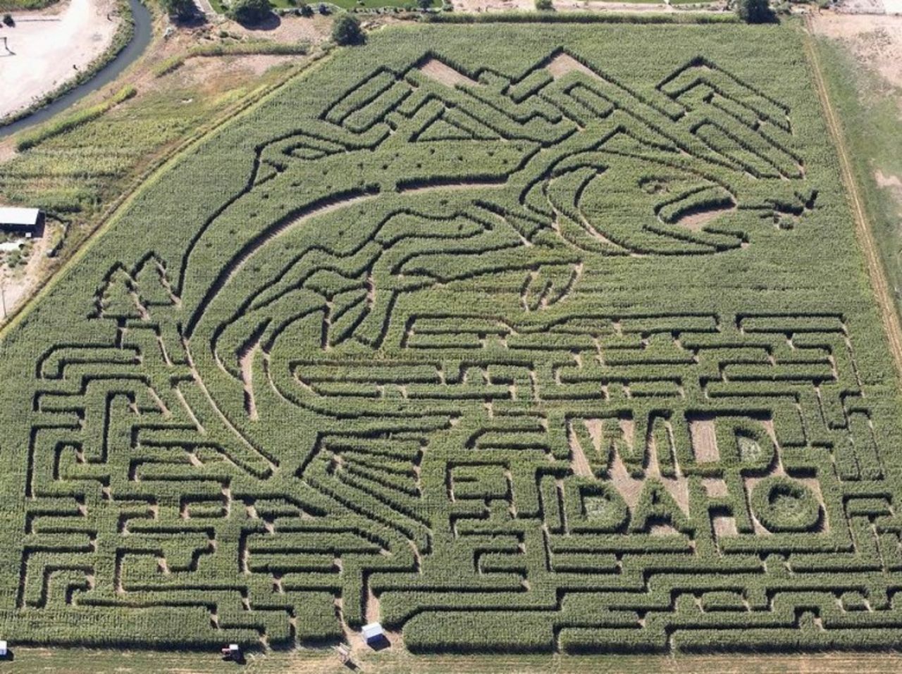 Increíbles laberintos en cultivos de maíz | CNN