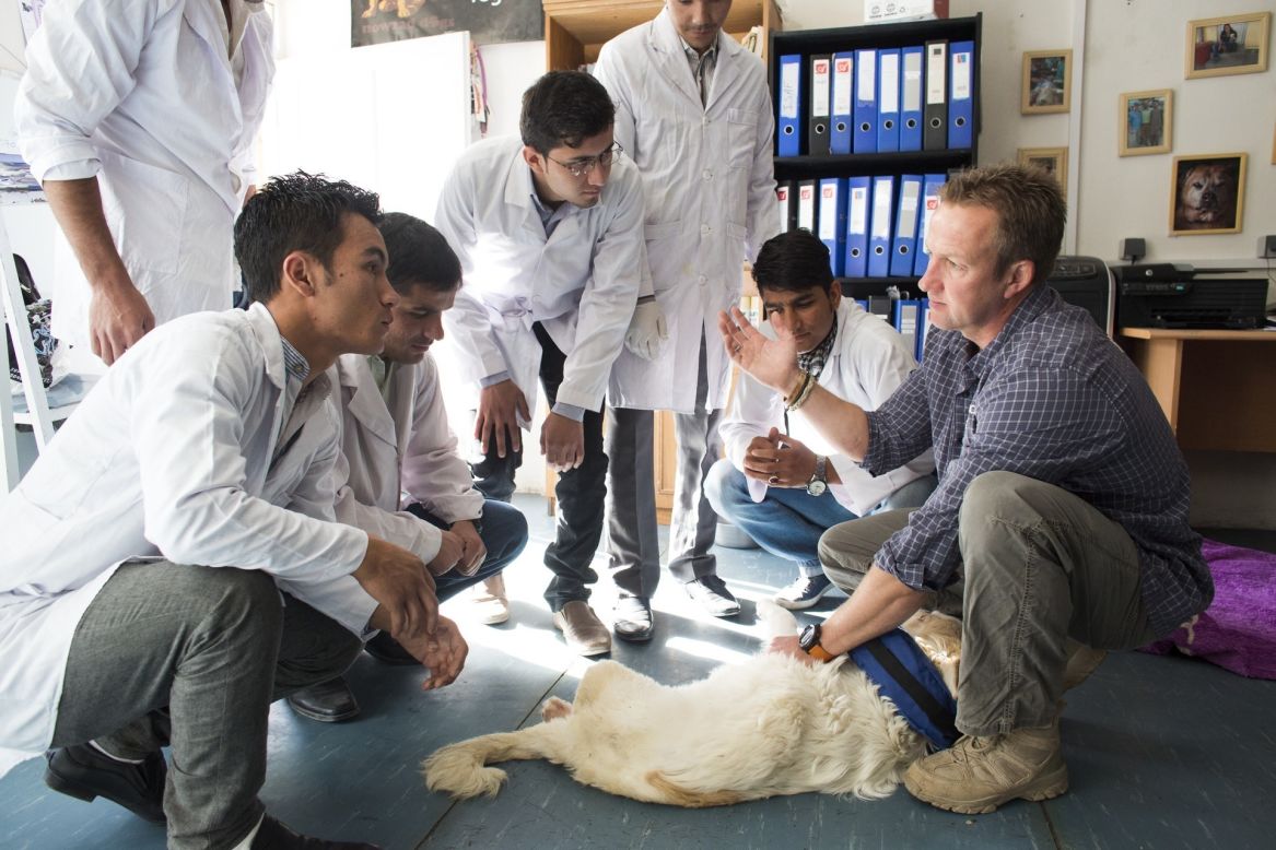 Nowzad Dogs' Kabul-based shelter and clinic are staffed by 14 Afghan nationals.