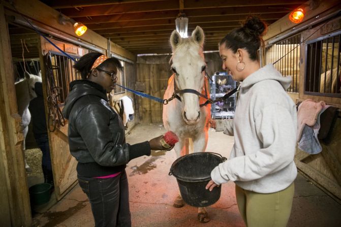 Program participants groom horses at the center.