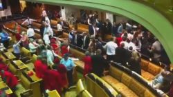 pkg magnay safrica parliament brawl_00005615.jpg