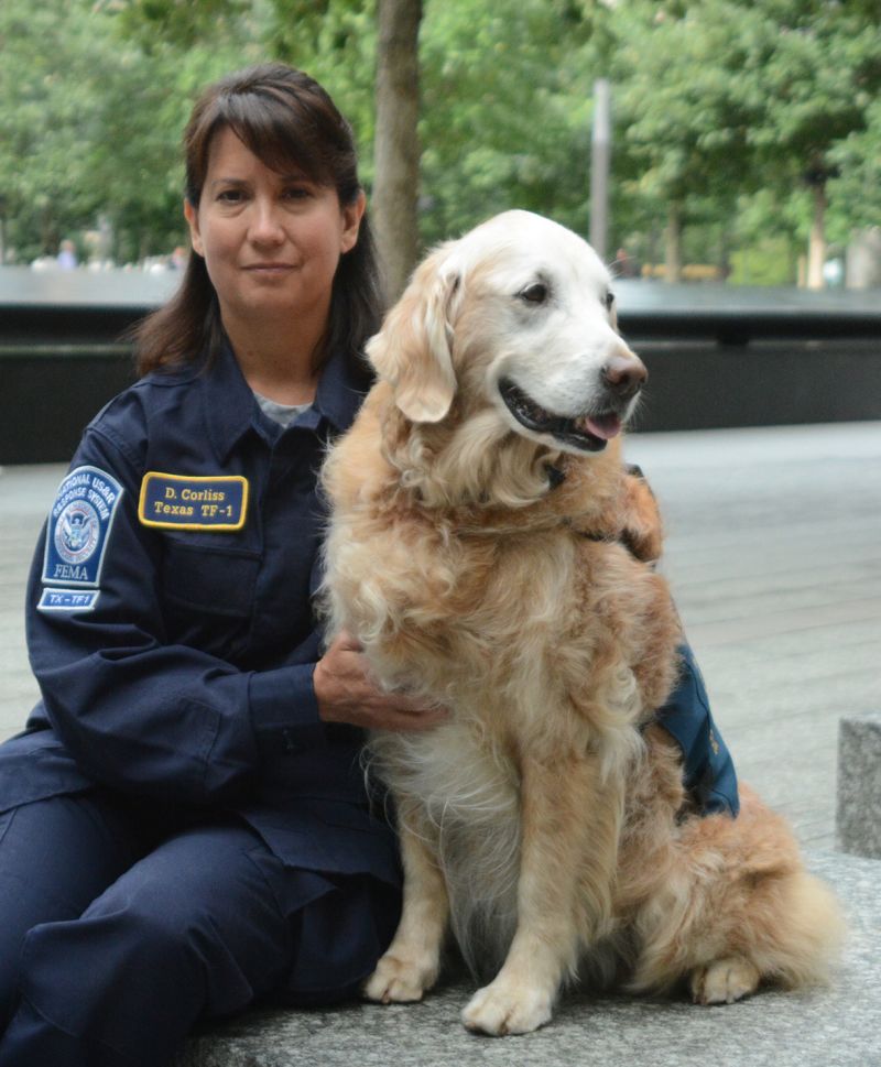 search and rescue dogs 911