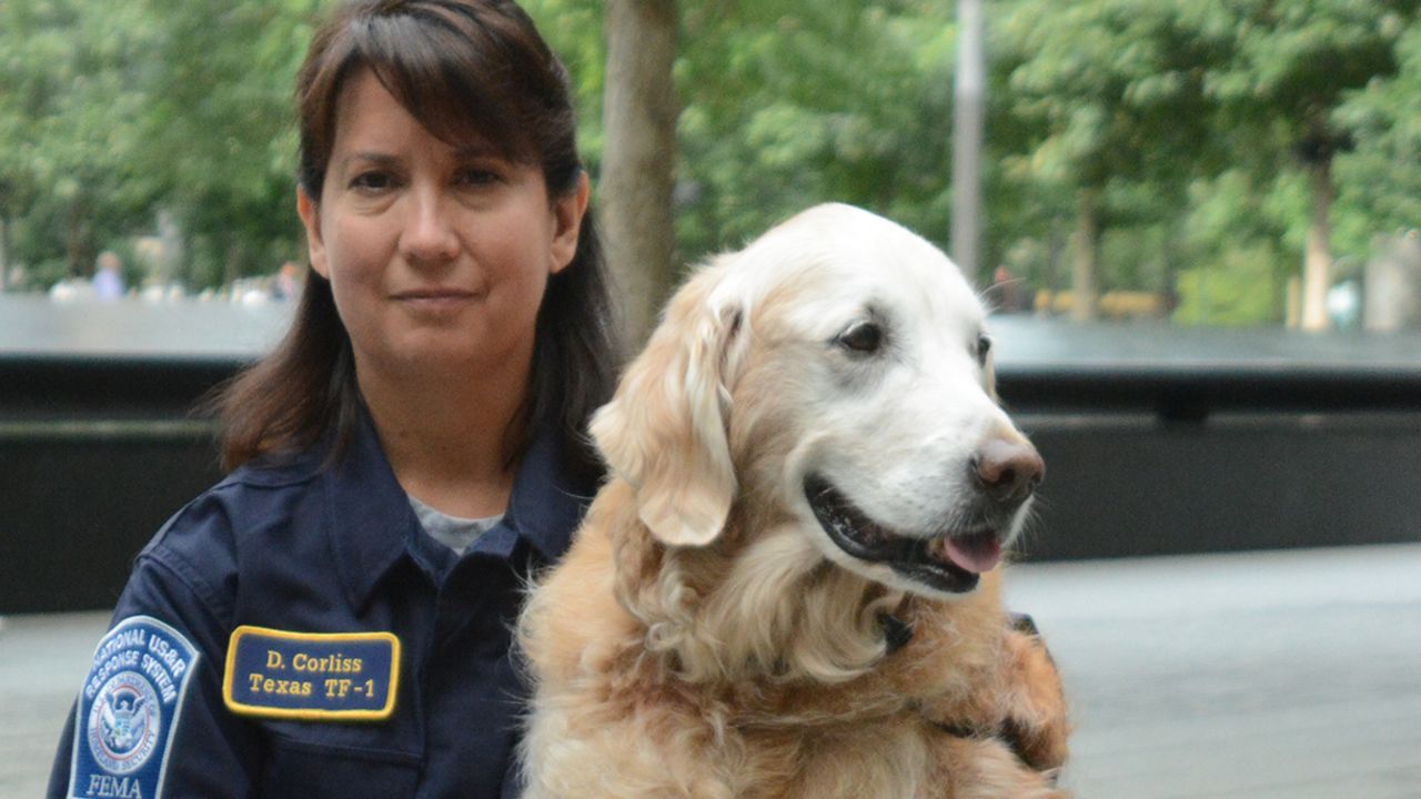 search and rescue dog 911 attacks bretagne