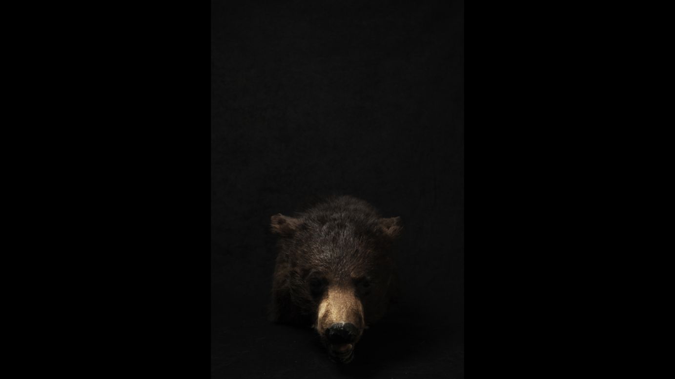 Lach used a black background for some of his photos. "I wanted to isolate these exhibits to give them the rank of authenticity and pain," he said.