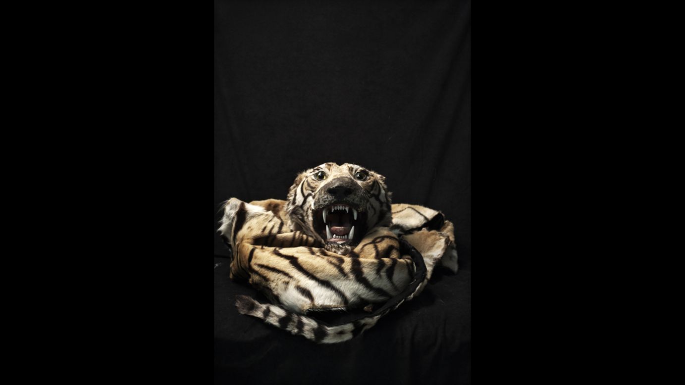 A tiger skin is among the illegal items that have been confiscated over the years at Warsaw Chopin Airport in Warsaw, Poland. Photographer Adam Lach recently documented some of the items as part of his project "Human Tsunami."