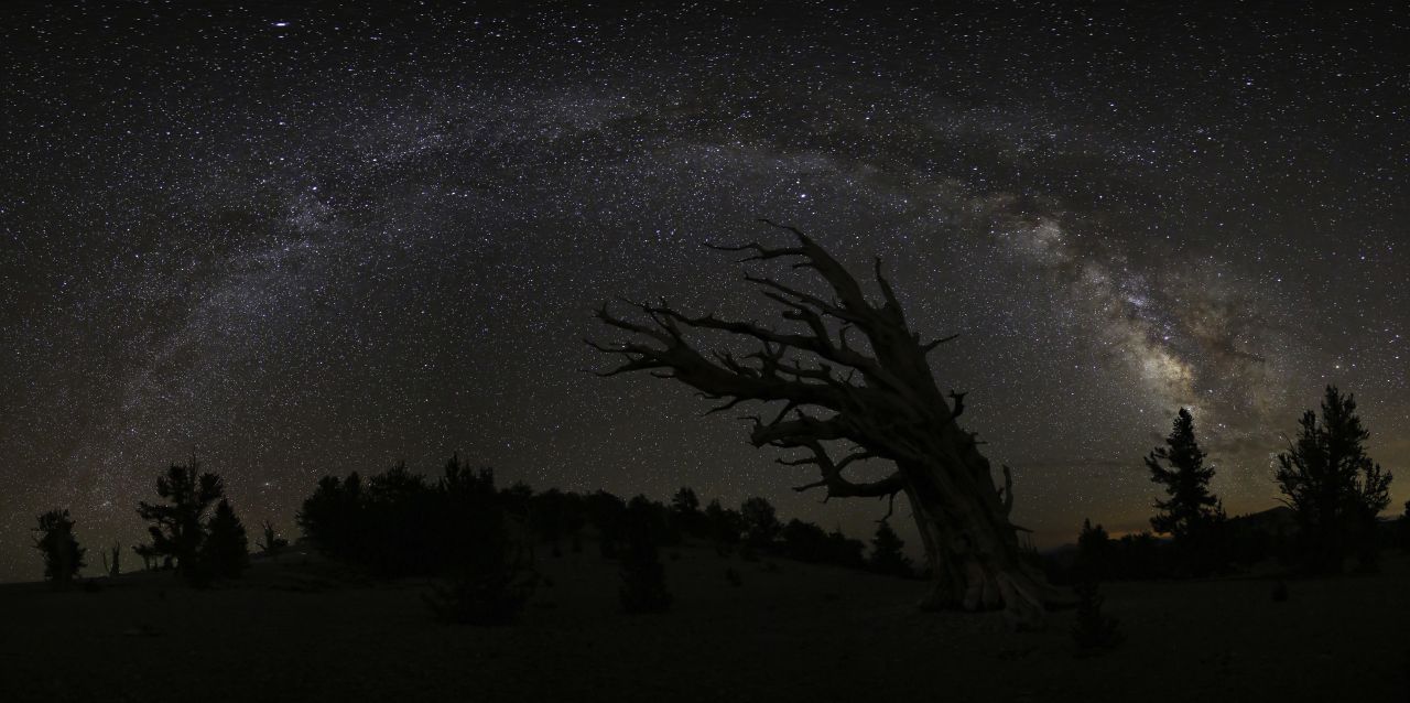 The<a href="http://ireport.cnn.com/docs/DOC-1049110"> Milky Way </a>twinkles over the <a href="http://www.fs.usda.gov/detail/inyo/specialplaces/?cid=stelprdb5129900" target="_blank" target="_blank">Ancient Bristlecone Forest</a> near Big Pine, California. The tree near the center of the photograph is the Great Basin bristlecone pine tree. The oldest known tree of this type is more than 5,000 years old.