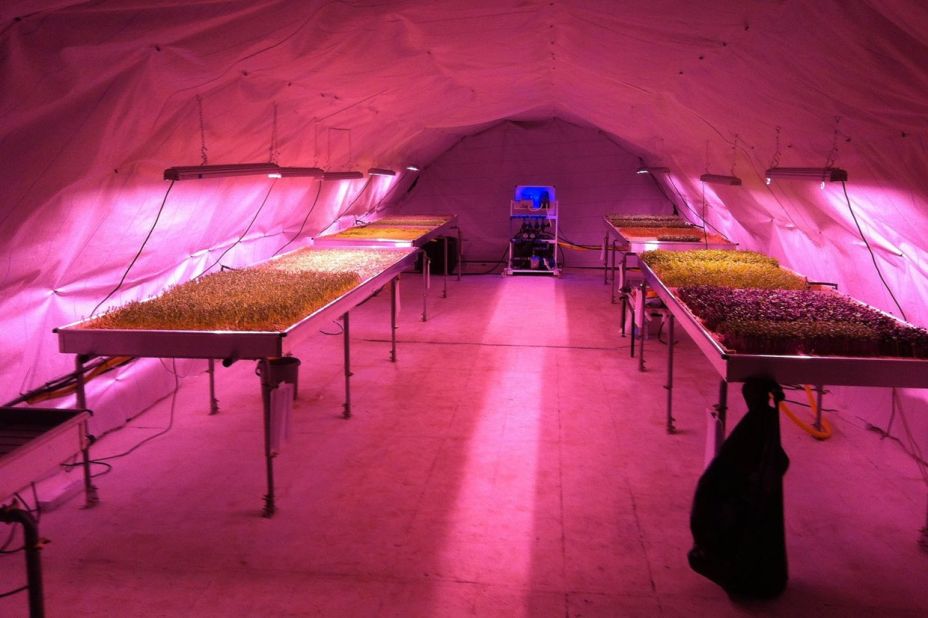 Abandoned stations are already hosting some entrepreneurial activity. This underground farm from Zero Carbon Food is operating at Clapham station.