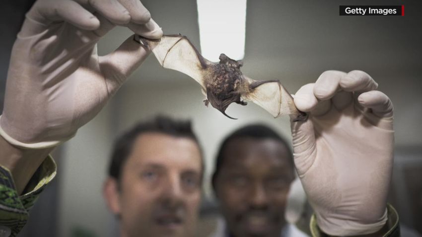 sgmd gupta daszak ecohealth ebola_00004722.jpg