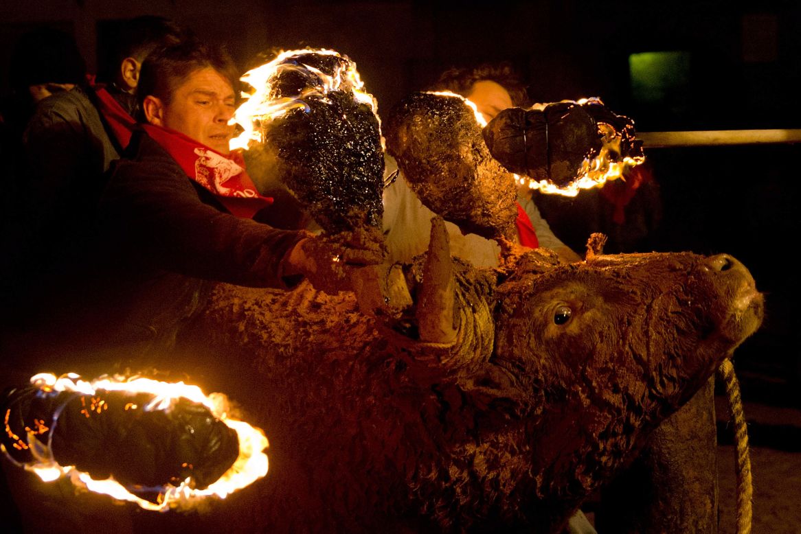 A man restrains a bull as another ignites flammable balls attached to the bull's horns Sunday, November 16, in Medinaceli, Spain. It was for the traditional Toro de Jubilo festival in the town. After the bull's horns are set on fire, the animal is untied and revelers dodge it until the flammable material is consumed. The bull is covered in mud to protect it from burns, but animal rights groups have protested the festival for years.