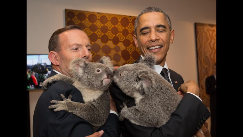 Australian Prime Minister Tony Abbott, left, and U.S. President Barack Obama meet koalas before the start of a G20 meeting in Brisbane, Australia, on Saturday, November 15. 