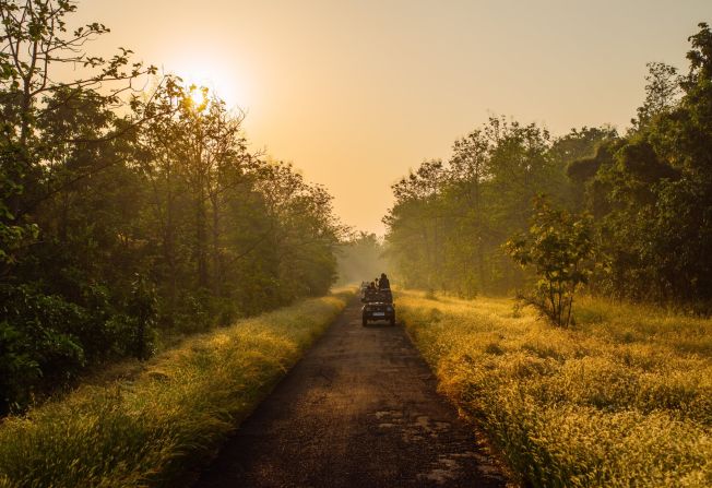 The team rolls out in search of tigers at Pench National Park in India.