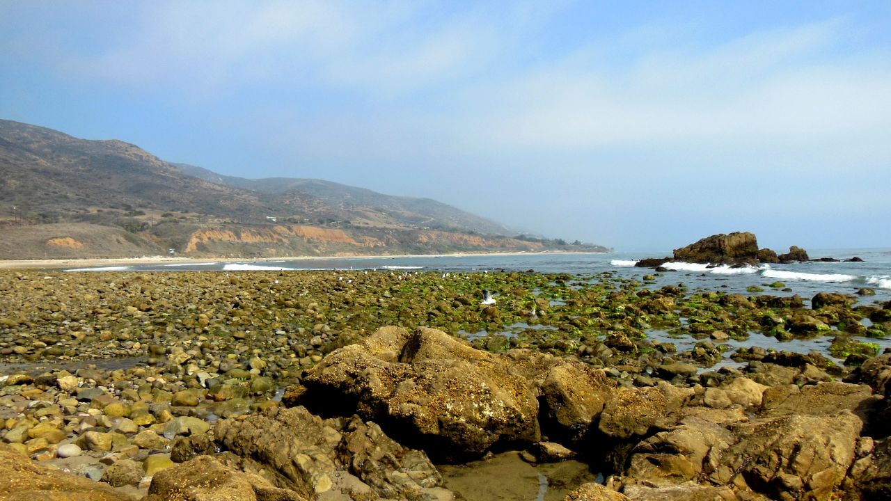 Be sure to look down as you wander the coast of Malibu, California. Marie Sager says <a href="http://ireport.cnn.com/docs/DOC-1038801">each tidepool</a> holds "a new discovery of little sea creatures."
