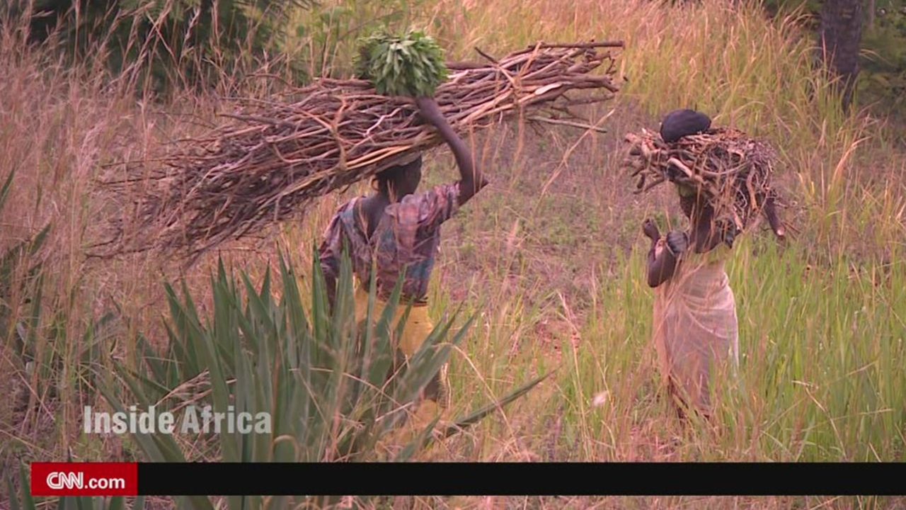 spc inside africa chimps of gombe b_00012521.jpg