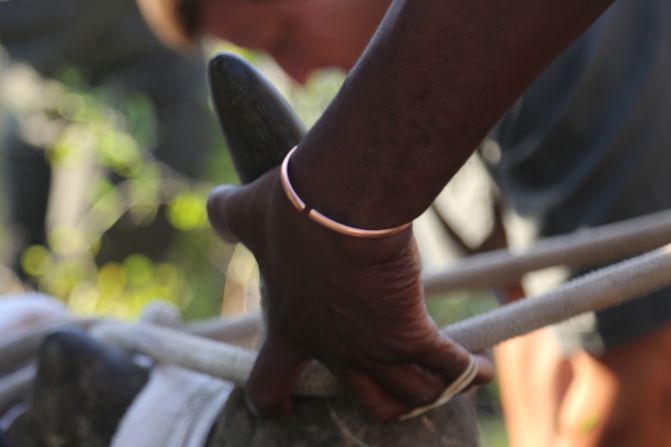 The rhino is slaughtered for a horn that for millennia has been its first line of defense. The poaching is fueled by an insatiable demand in Asia, where the horn is believed to have medicinal value -- though there is no scientific evidence for this -- and is prized as a sign of wealth. It is made of keratin, the same protein found in human fingernails.