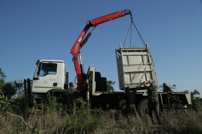 Relocations like this one are a key part of a protection plan which has taken on even greater urgency since the country's environmental minister announced a record 1,020 of South Africa's rhinos have been poached in 2014.